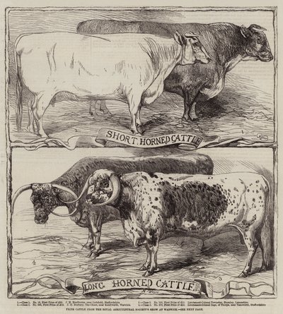 Prijsvee van de Royal Agricultural Society